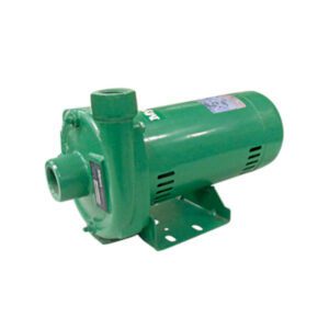 BOMBA PARA AGUA 1.5 MYERS CT15-3 3F