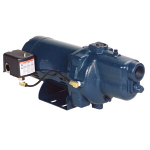 BOMBA 1.0 HP FPS FVJ1CI 115/230V