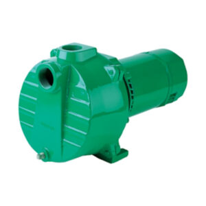 BOMBA PARA AGUA 1.5 HP MYERS QP-15 115-230V