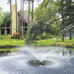 FLOATING FOUNTAIN 45393 LIGHT 1/2 HP 120