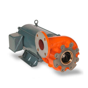 Bomba Centrifuga Industrial Berkely BZ