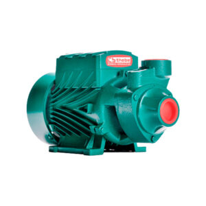 0048901 BOMBA THEBE 3/4 HP TP-70 115/230V