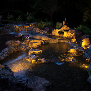 POND LIGHT CCPL1 2W INFICOLOR 12V